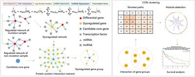 A Cancer Gene Module Mining Method Based on Bio-Network of Multi-Omics Gene Groups